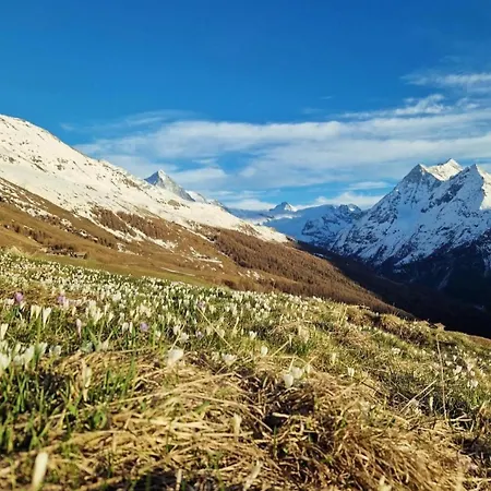 Authentique Avec Vue Panoramique, La Sage * Evolène