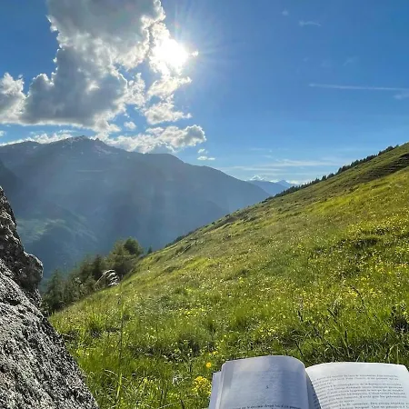 Authentique Avec Vue Panoramique, La Sage Evolène
