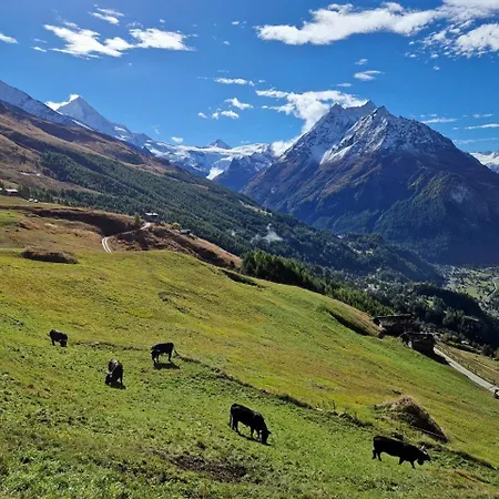 Authentique Avec Vue Panoramique, La Sage *