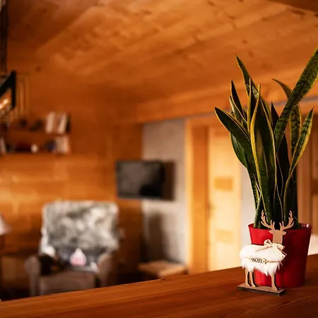 Chalet Authentique Avec Vue Panoramique, La Sage Evolène